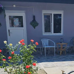 The Purple House-villa In Bucureşti